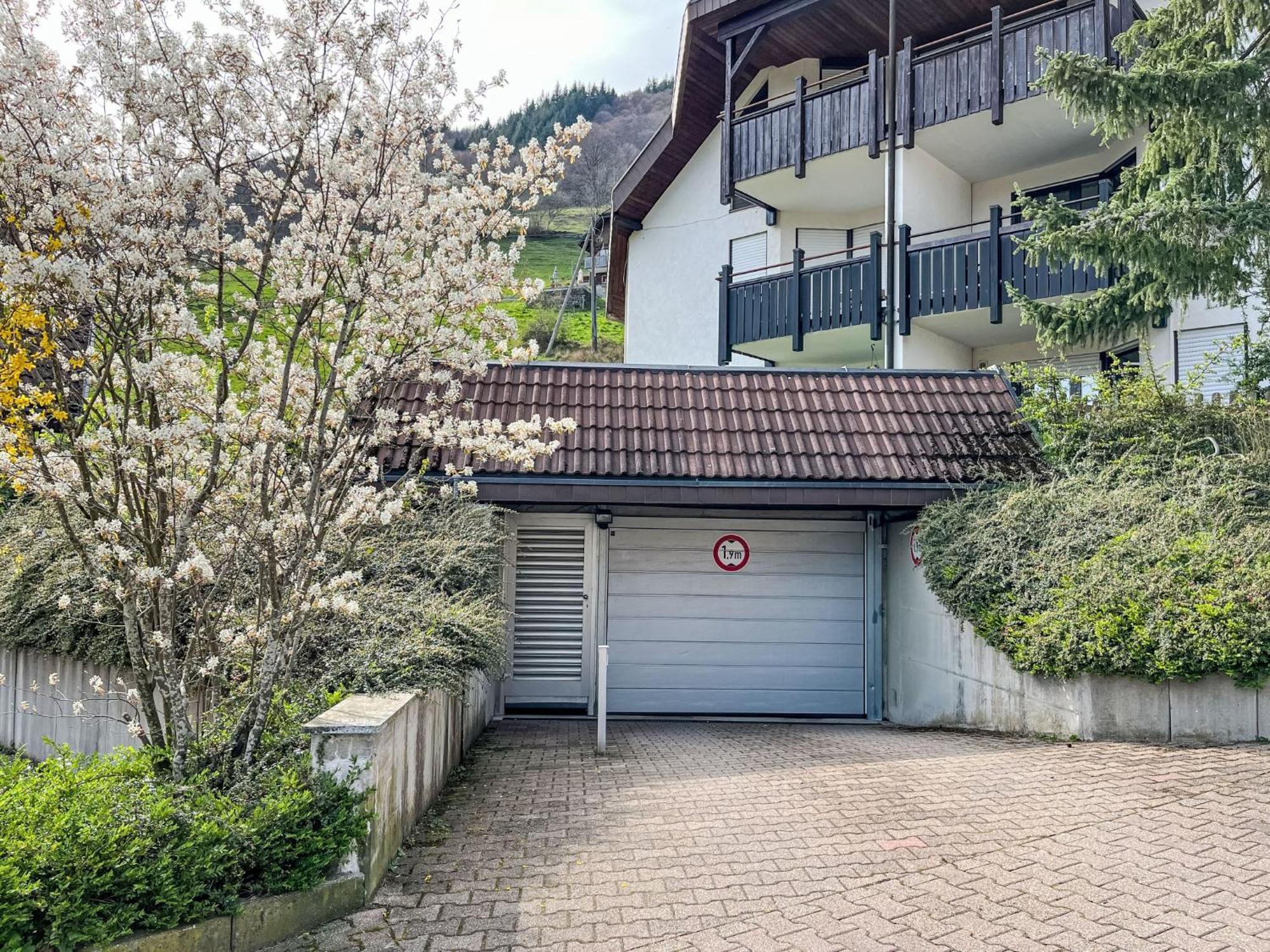 Apartment Sonnenblick II By Interhome Todtnauberg Zewnętrze zdjęcie