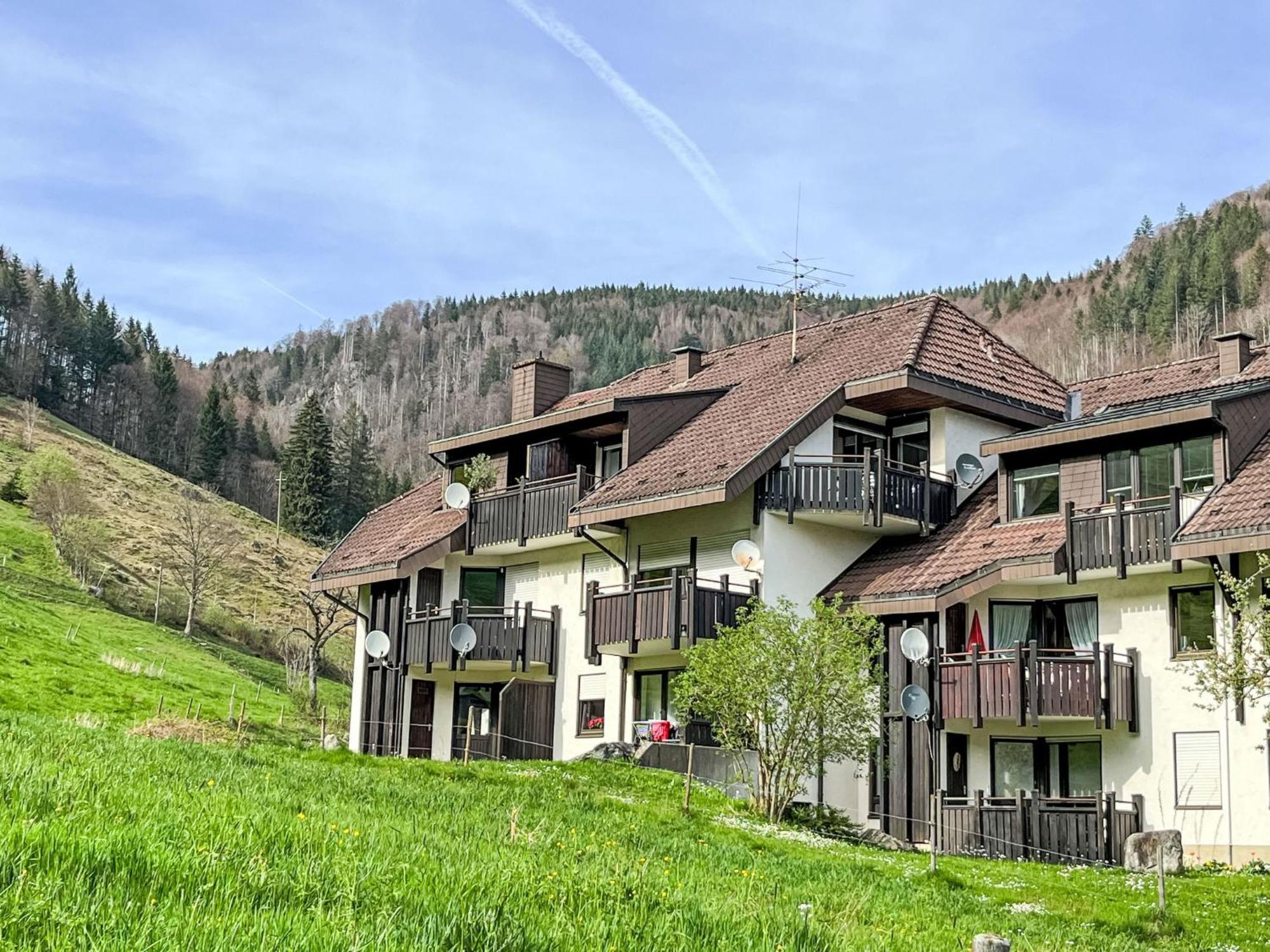 Apartment Sonnenblick II By Interhome Todtnauberg Zewnętrze zdjęcie